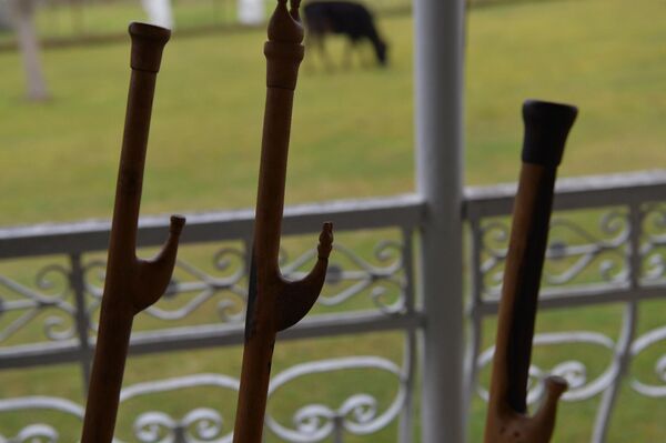 Посохи, изготовленные Роландом Зантария - Sputnik Абхазия