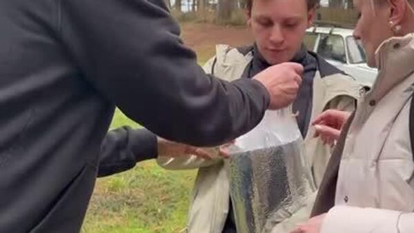 Пицунда-Мюссерский заповедник возобновил научные исследования энтомофауны, рассказала Sputnik директор заповедника Сабина Лобода - Sputnik Абхазия