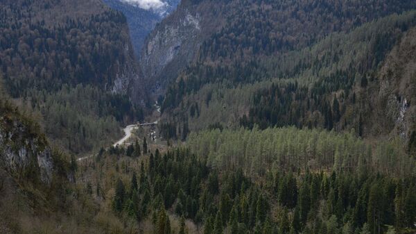 Пейзажи в РРНП - Sputnik Абхазия