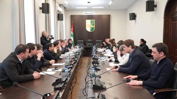 Порядок работы магазинов Duty Free обсудили в Парламенте Абхазии  - Sputnik Абхазия