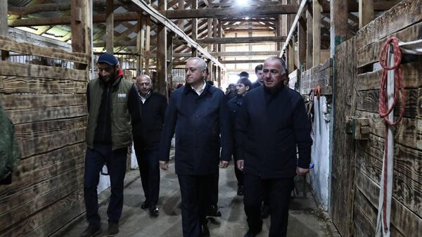 Бадра Гунба посетил конюшню в Лыхны - Sputnik Абхазия