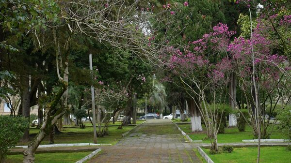 Цветущие деревья ранней весной в Сухуме - Sputnik Абхазия