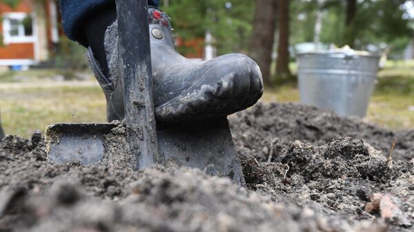 Москвичи на даче - Sputnik Абхазия