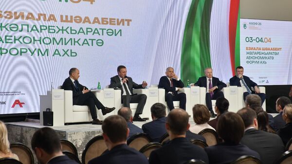 Круглый стол Роль государства в поддержке инвестиционной деятельности - Sputnik Абхазия
