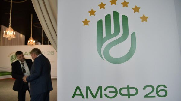 Международный экономический форум Абхазия — инвестиции в будущее - Sputnik Абхазия