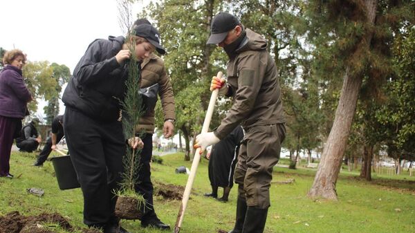 Агәыӡера иҟоу Смецкои ипарк аҿы акциа Аҵла еиҭаҳа — аҭоурых еиқәырха мҩаԥысит - Sputnik Аҧсны