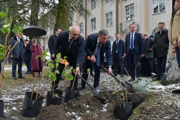 Гости высадили кусты гортензий у Дворца культуры - Sputnik Абхазия