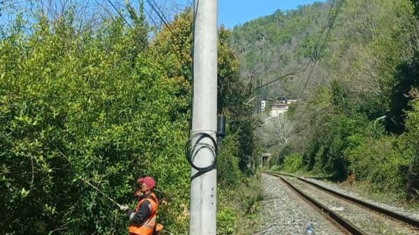 Аԥснытәи аихамҩақәа мҽхакыҭбала акурорттә аамҭахәҭа аҽазыҟаҵара иалагеит - Sputnik Аҧсны