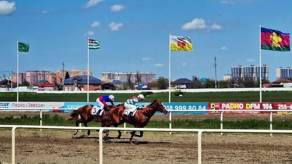 Лошади абхазского коневладельца заняли призовые места на скачках в Краснодаре - Sputnik Абхазия