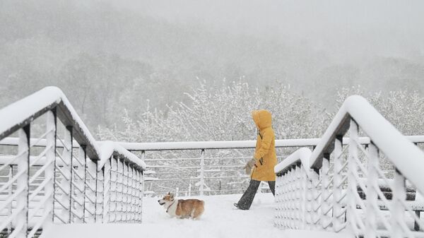 Снег в Москве  - Sputnik Абхазия