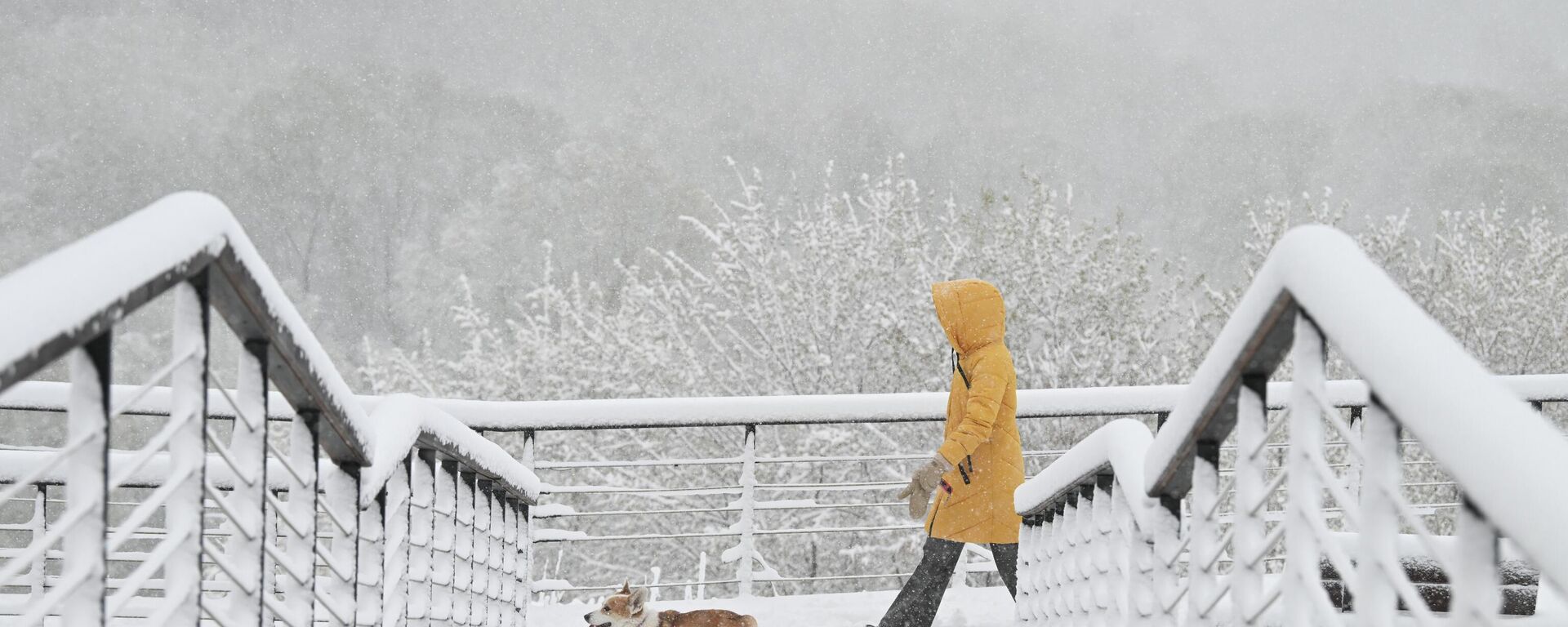 Снег в Москве  - Sputnik Абхазия, 1920, 27.04.2026