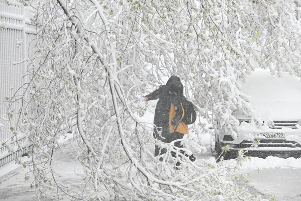 В Москве аномальный весенний снегопад. - Sputnik Абхазия