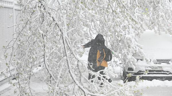 Снег в Москве  - Sputnik Аҧсны
