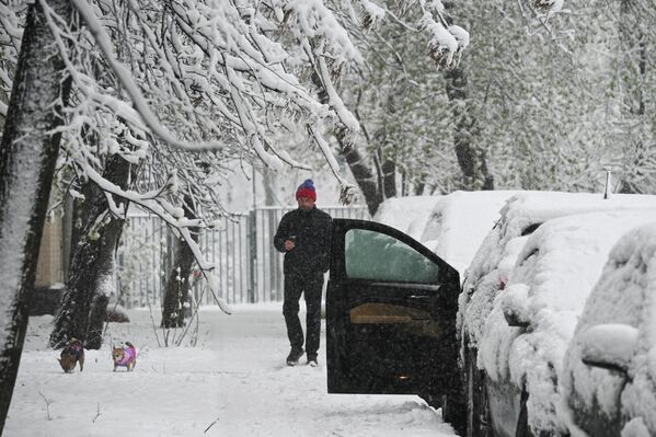 В такую погоду лучше не гулять под деревьями и не парковать под ними машины. - Sputnik Абхазия