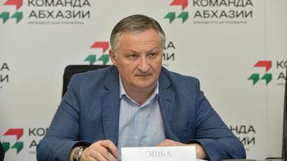 Заседание наблюдательного совета Команды Абхазии