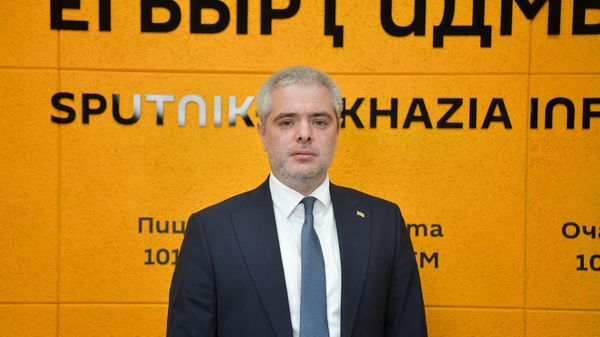 Внешний рынок и вызовы для абхазского бизнеса: интервью с президентом ТПП - Sputnik Абхазия