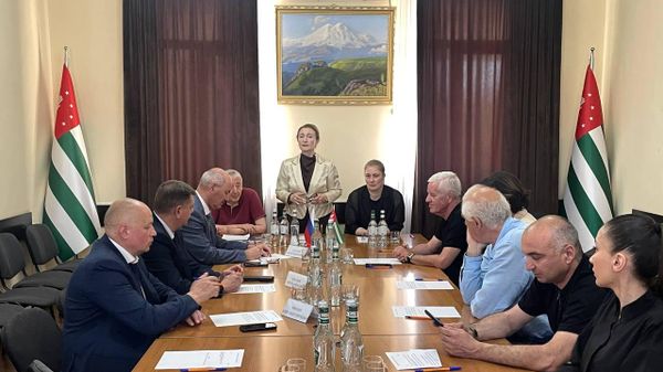 Встреча с представителями высших учебных заведений Белгородской области состоялась в Общественной палате Абхазии - Sputnik Абхазия