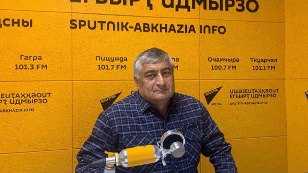 От пустырей к плантациям: как Гулрыпшский район возвращает аграрный статус - Sputnik Абхазия