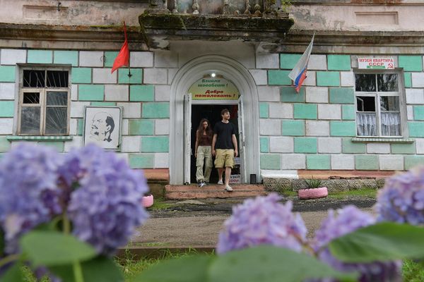 Зарубежные археологи находят окаменелости гортензий, возраст которых оценивается примерно в 50–65 миллионов лет. - Sputnik Абхазия