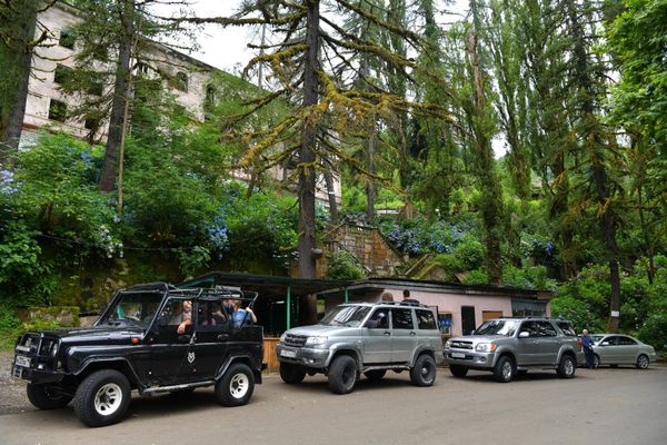 В Акармаре многообразие различных растений – их дополняют разноцветные гортензии. - Sputnik Абхазия
