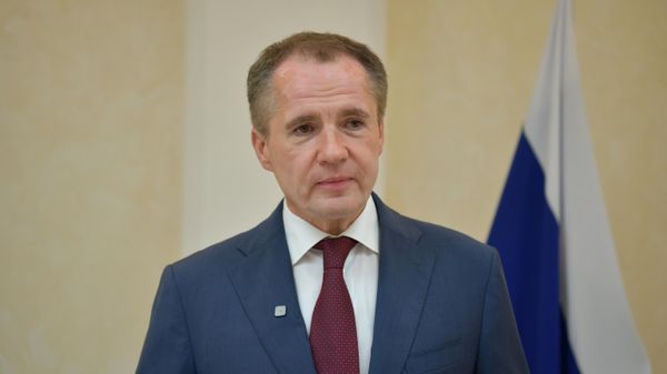 Вячеслав Гладков во время процедуры  принятия присяги гражданина РФ в посольстве России в Абхазии - Sputnik Абхазия