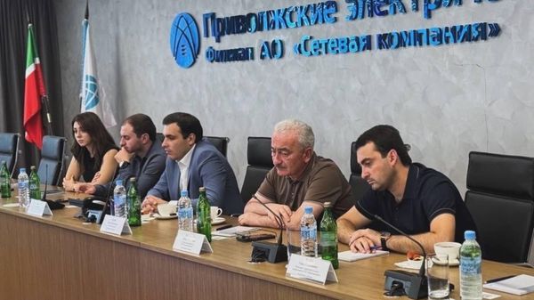 Представители Абхазии посетили объекты электросетевой инфраструктуры в Татарстане - Sputnik Абхазия