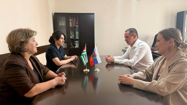 Вопросы взаимодействия в сфере образования обсудили министр просвещения Абхазии Хана Гунба и посол России Вячеслав Гладков - Sputnik Абхазия