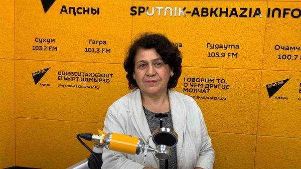 Обоюдная выгода: Камкия о том, зачем Абхазии нужно принимать госзаказы России - Sputnik Абхазия