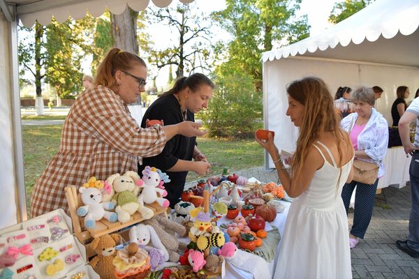 Ярмарка в парке имени Ленина привлекла сельхозпроизводителей и ремесленников из всех районов страны - Sputnik Абхазия