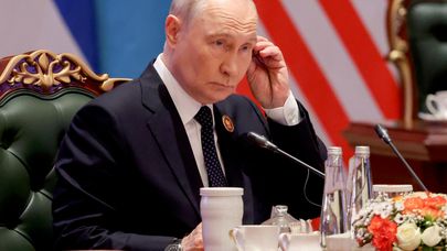 Визит президента Владимира Путина в Индию