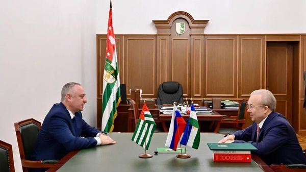 Межпарламентское сотрудничество Абхазии и Башкортостана будет развивать председатель Государственного Собрания – Курултая республики Андрей Назаров - Sputnik Абхазия