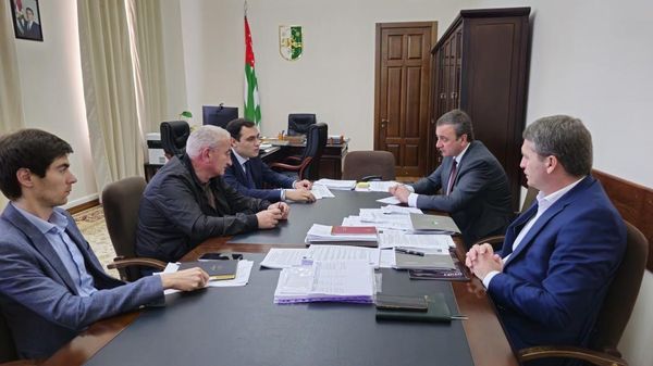 Развитие распределенной солнечной генерации обсудили в Кабинете министров Абхазии - Sputnik Абхазия