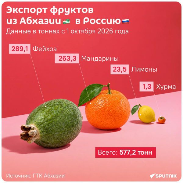 Экспорт фруктов из Абхазии в Россию с начала октября 2026 года - Sputnik Абхазия
