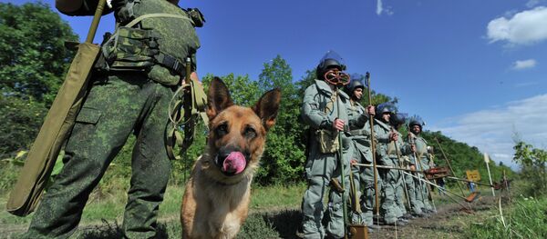 Разминирование горных территорий в Чеченской республике Разминирование горных территорий в Чеченской республике - Sputnik Абхазия