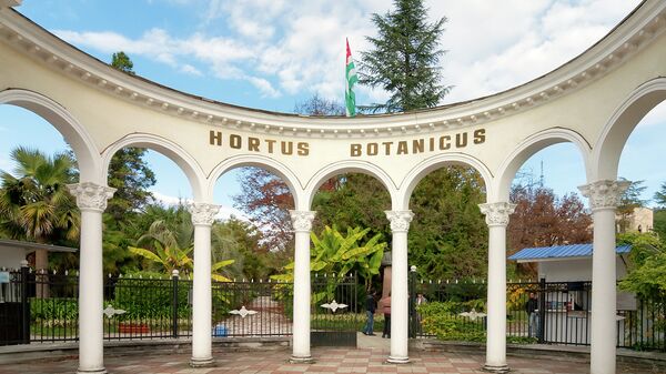 Ботанический сад,Сухум. Архивное фото. - Sputnik Абхазия