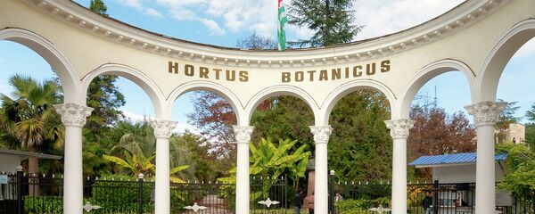 Ботанический сад,Сухум. Архивное фото. Ботанический сад,Сухум. Архивное фото. - Sputnik Абхазия