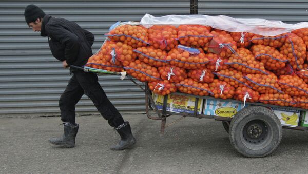 Экспорт фруктов из Абхазии вырос на 1,5% - Sputnik Абхазия