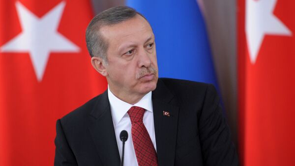 Президент Турции Реджеп Тайип Эрдоган. Архивное фото. - Sputnik Абхазия