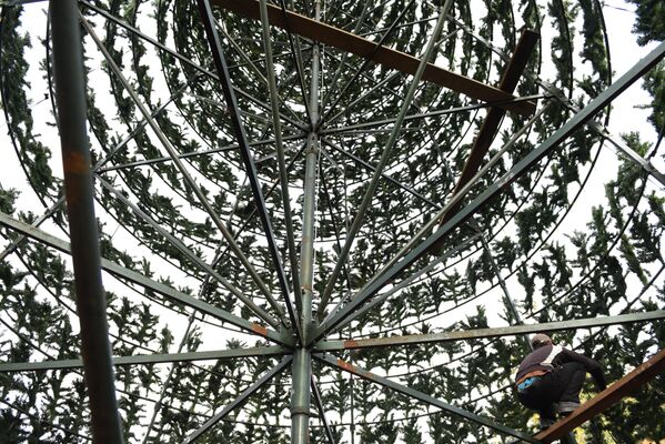 Главная елка страны в центральном парке г. Сухум. Главная елка страны в центральном парке г. Сухум. - Sputnik Абхазия