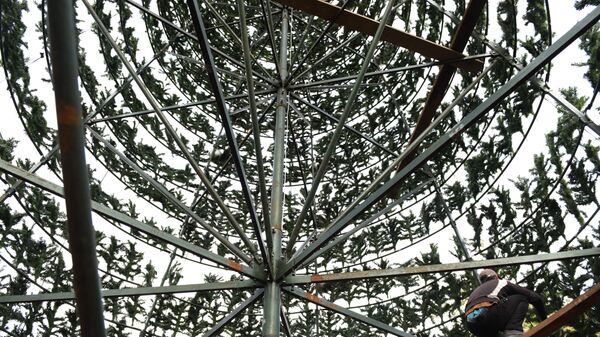 Главная елка страны в центральном парке г. Сухум. - Sputnik Абхазия