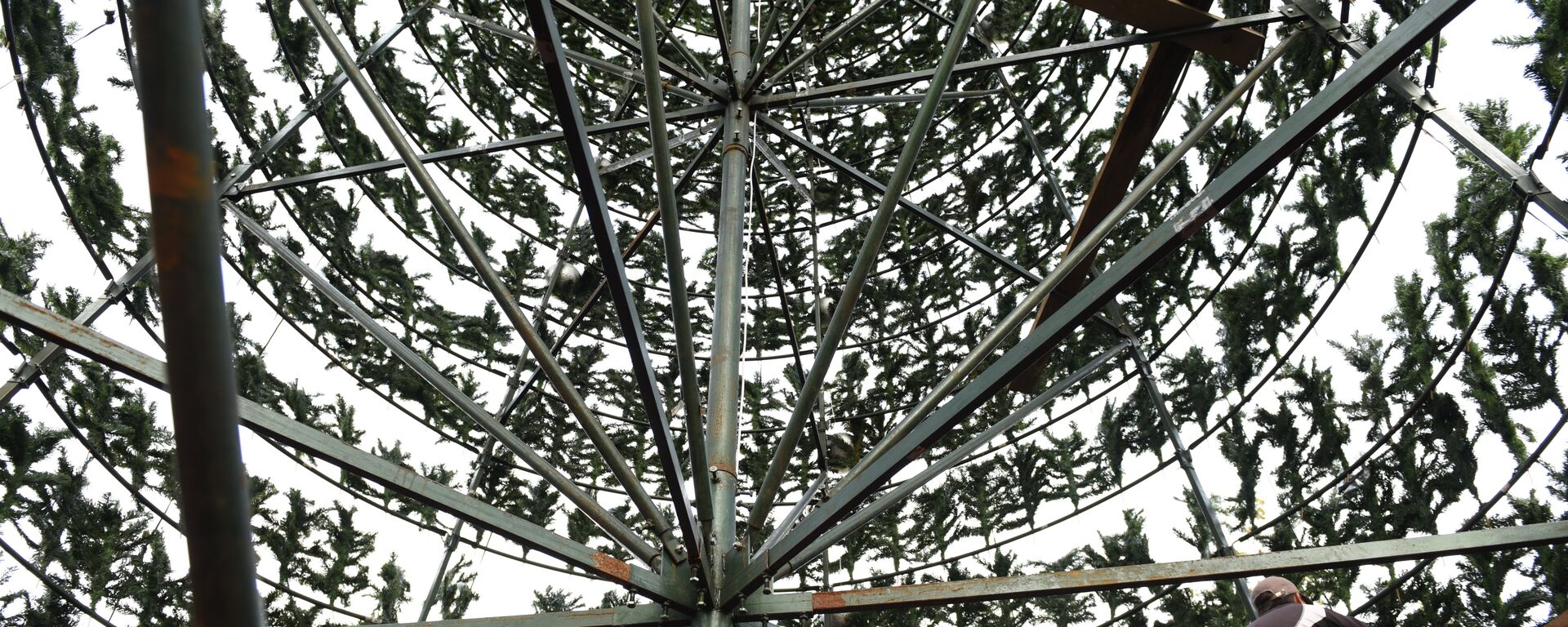 Главная елка страны в центральном парке г. Сухум. - Sputnik Абхазия, 1920, 02.12.2025