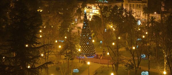 Главная елка страны в центральном парке г. Сухум. Главная елка страны в центральном парке г. Сухум. - Sputnik Абхазия