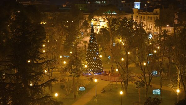 Главная елка страны в центральном парке г. Сухум. - Sputnik Абхазия