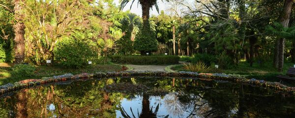 Один из декабрьских дней - Sputnik Абхазия