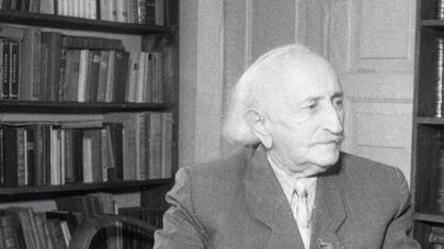 Дмитрий Гулиа