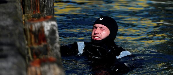 Водолаз МЧС России. Архивное фото Водолаз МЧС России. Архивное фото - Sputnik Абхазия