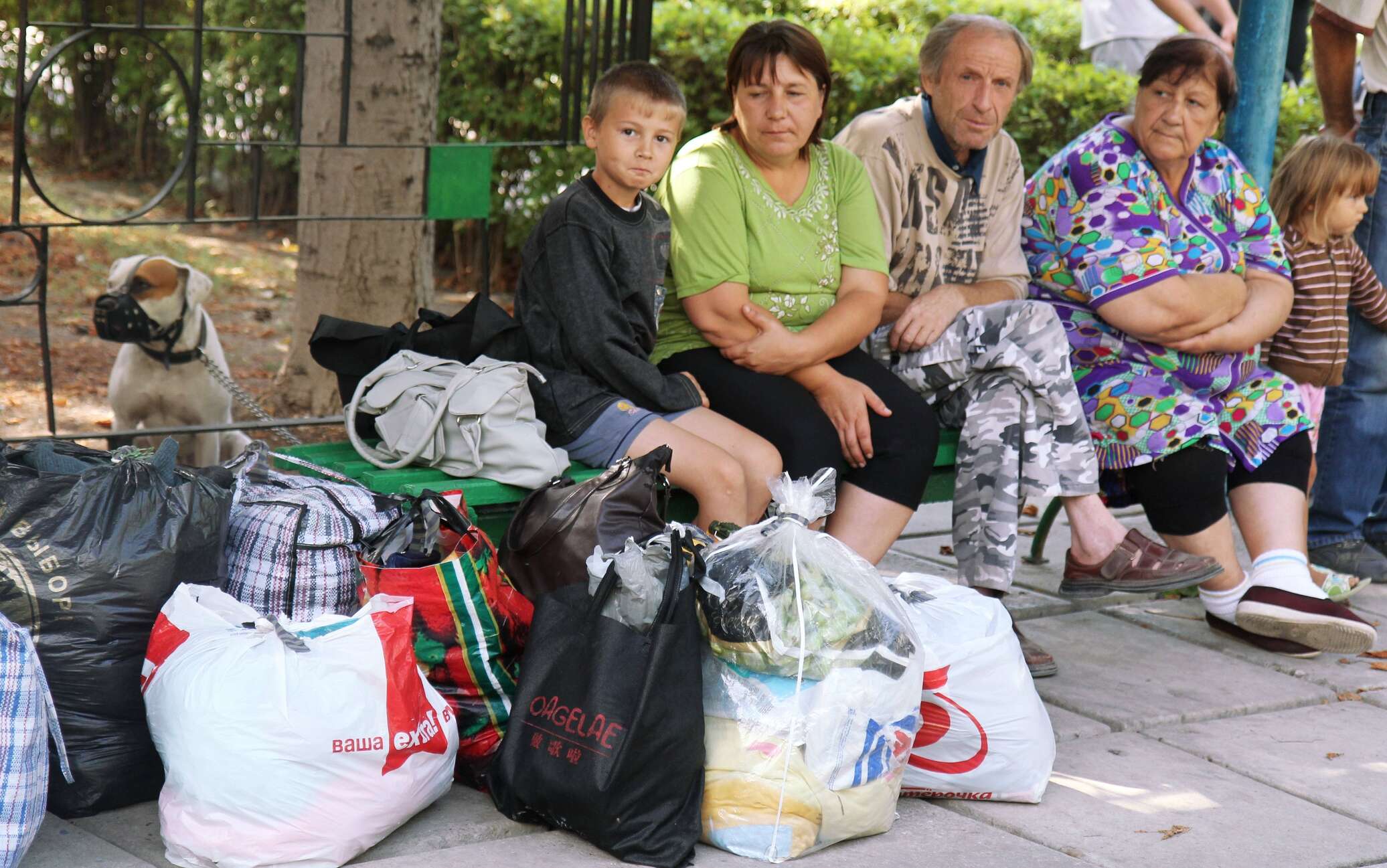 Переселенцы это. Беженцы с Украины. Беженцы и переселенцы. Беженцы и вынужденные переселенцы. Вынужденные переселенцы в России.
