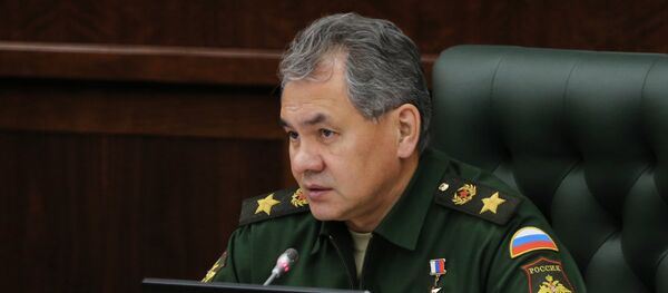 Министр обороны РФ Сергей Шойгу. Архивнее фото - Sputnik Абхазия
