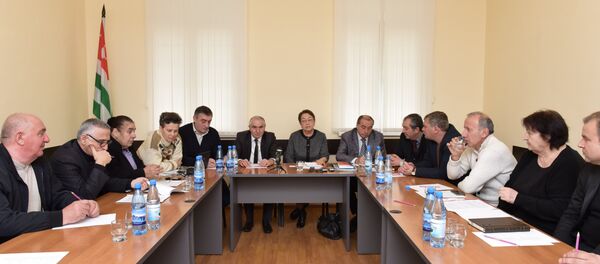 Заседание общественной палаты. Заседание общественной палаты. - Sputnik Абхазия