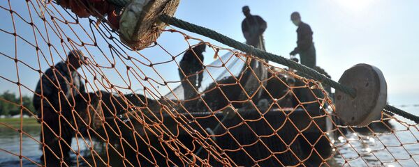 Лов рыбы. Архивное фото. Лов рыбы. Архивное фото. - Sputnik Абхазия